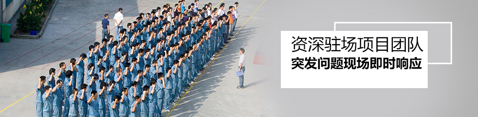资深驻场项目团队，突发问题现场即时响应